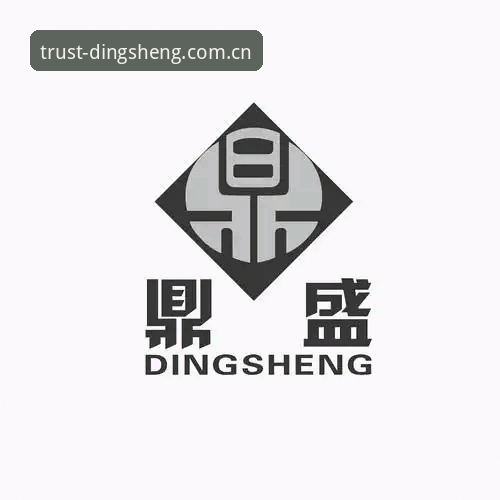 鼎盛平台注册成功 鼎盛平台注册方法对比:新手推荐方案vs自主探索方案,哪个更稳妥?